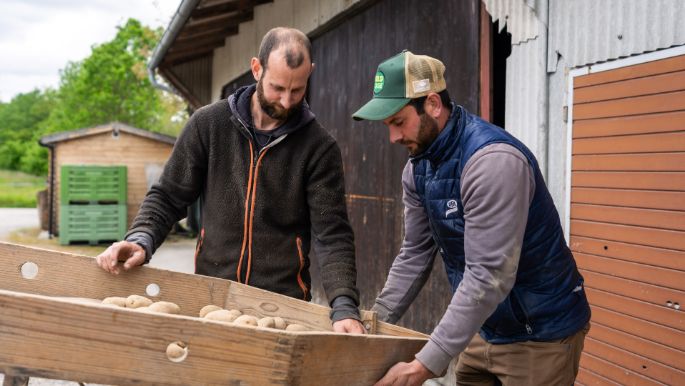 Lindenhof-Frauchwil_Bangerter_Rapperswil_Arbeit