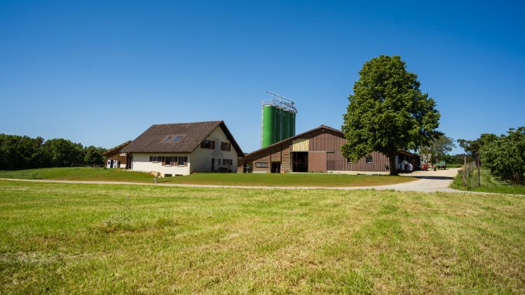 Milchwirtschaftsbetrieb Dommen_Dommen_Wittnau_Hof