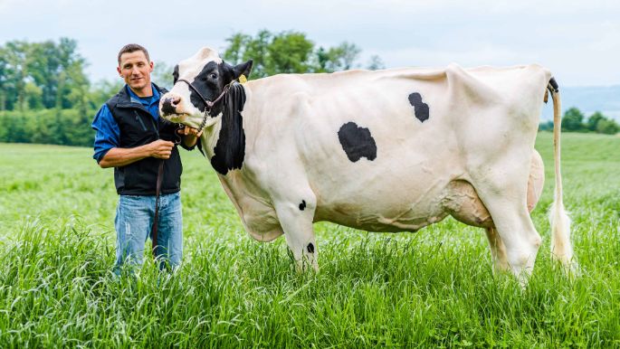 Gallee_Koch-Frey_Sempach_Arbeit_2