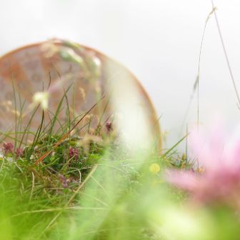 aut-walserstolz-visual-gras