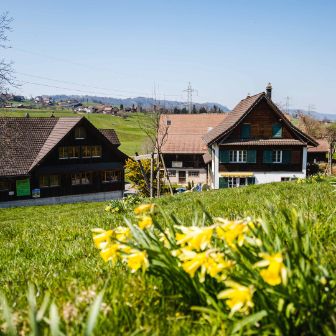 Harüti_Bill_Hirzel_Hof