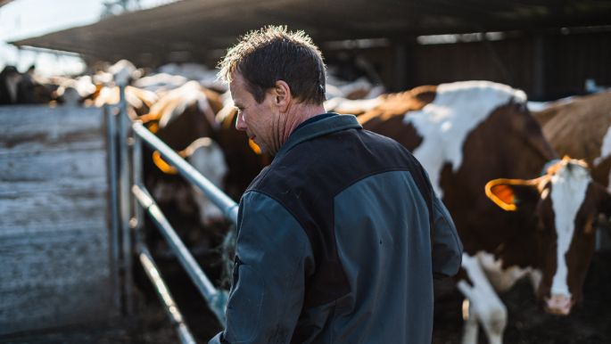 Badhof_Stofer_Wilihof_Arbeit-2