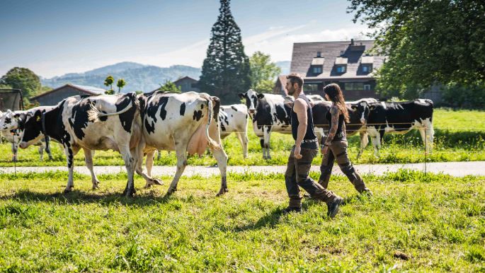 Weidriethof_Zeller_Seegr?ben_Arbeit_2