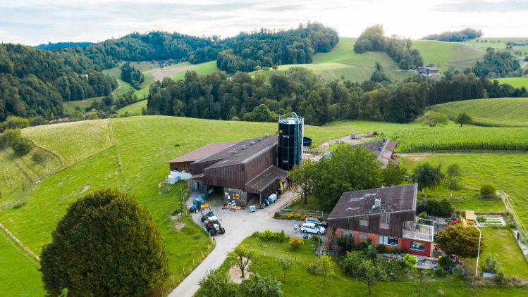 Honig_Blum_Roggliswil_Drohne