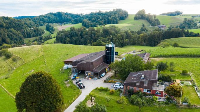 Honig_Blum_Roggliswil_Drohne