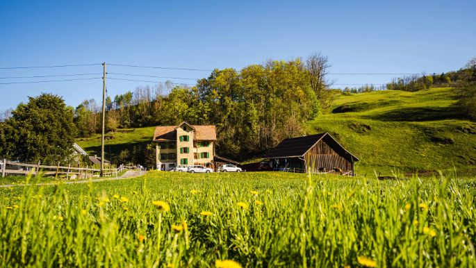 Hattig_Würsch_Emmetten_Hof