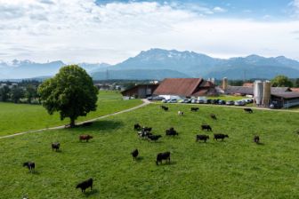 klimastar-event-bauernhof-stage-02