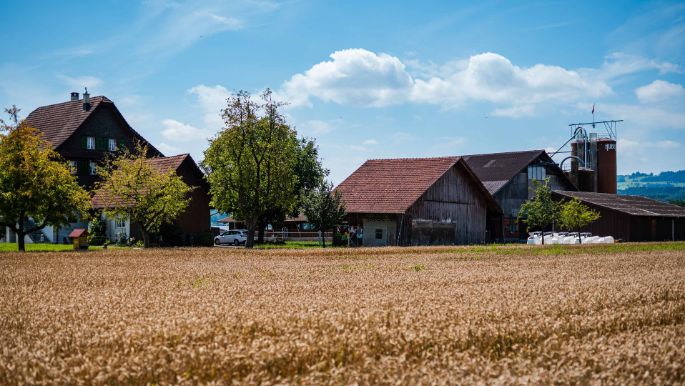 Bunnau_Burkart_Meerenschwand_Hof