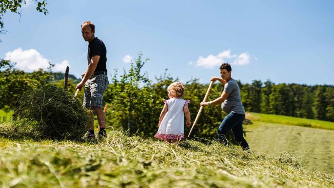 Burghof_Gander_Wölflinswil_Arbeit