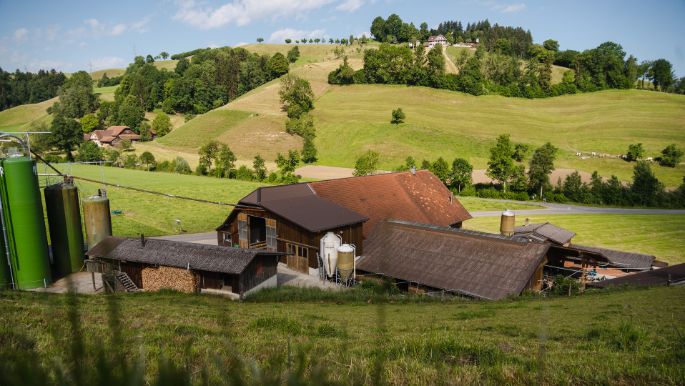 Wiggermatt_Meier_Willisau_Hof