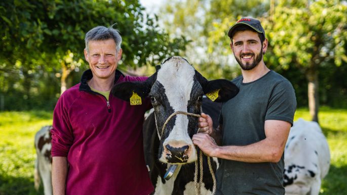 BG Frey-Glur_Glur_Brittnau_Kuh