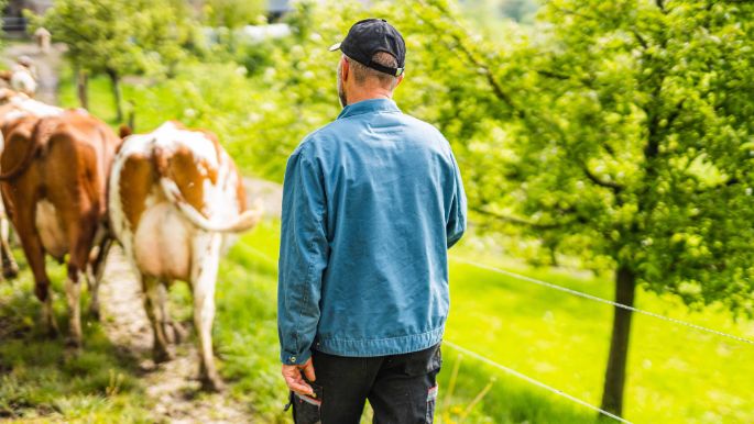 Oberrufswil_Herzig-Wicki_Ufhusen_Arbeit_2