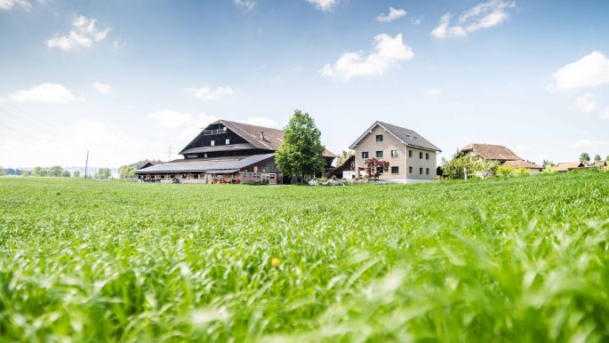 Böltschi_Ottiger_Rothenburg_Hof