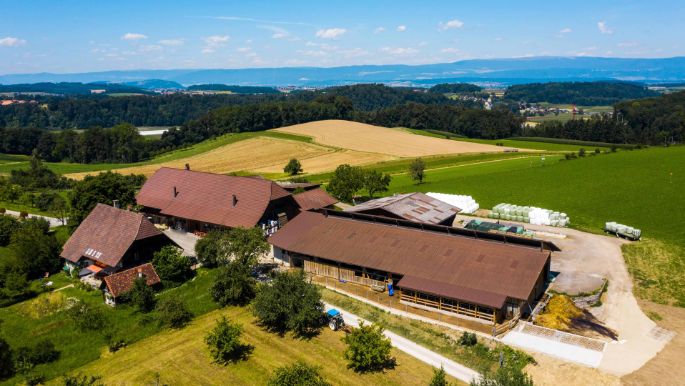 Neuweidhof_Ruegsegger_Rosshaeusern_Drohne