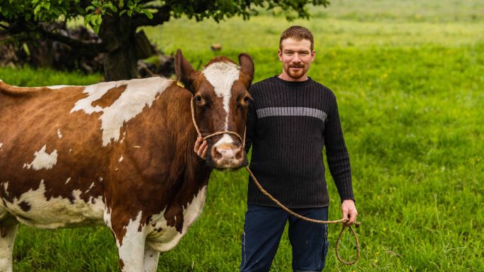 Schattige Schwendi_Hofstetter_Oberbalm_Kuh