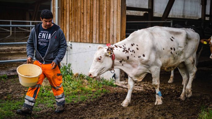 Wingertenhof_Reimann_Wölflinswil_Arbeit