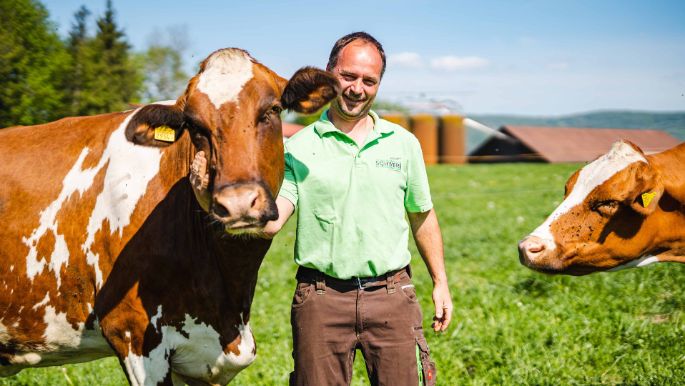 Sonnenhof_Schneider_Fisibach_Kuh_2