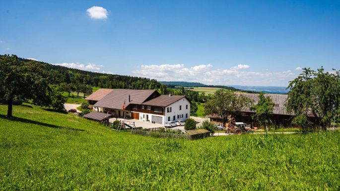 Burghof_Gander_Wölflinswil_Hof