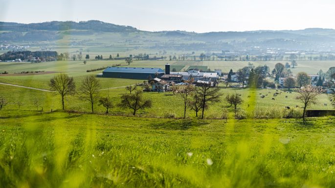 Badhof_Stofer_Wilihof_Hof