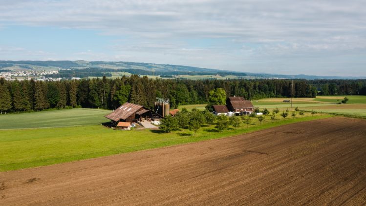 Wolfacker_Baumgartner_Hagendorn_Drohne