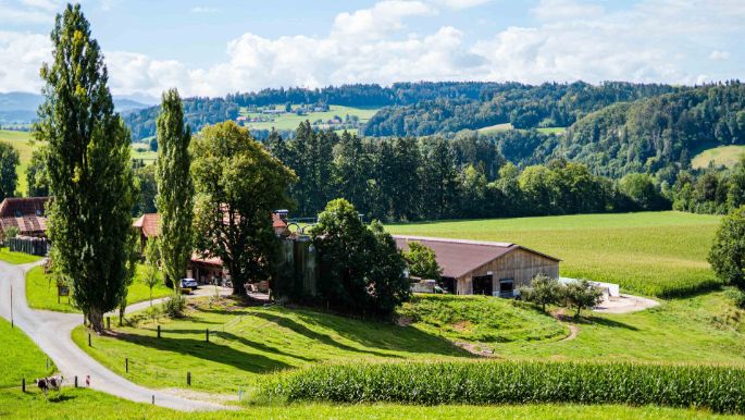 Rieselehof_Dummermuth_Thörishaus_Hof