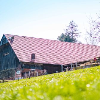 Grodhof_Nietlispach_Beinwil_Hof