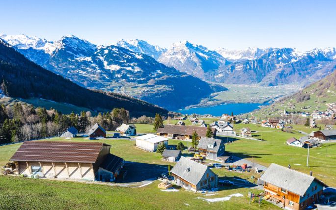 Weisstannen_Buesser_Amden_Drohne