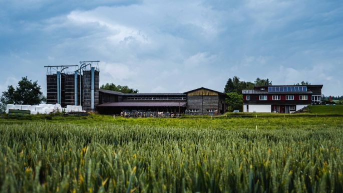 Hof Hopperen_Denzler_Nänikon_Hof