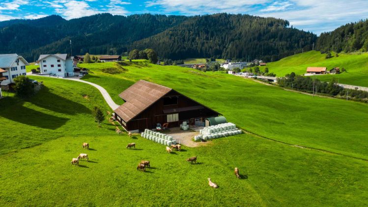 Aescher-Oberkarren_Kälin_Bennau_Drohne