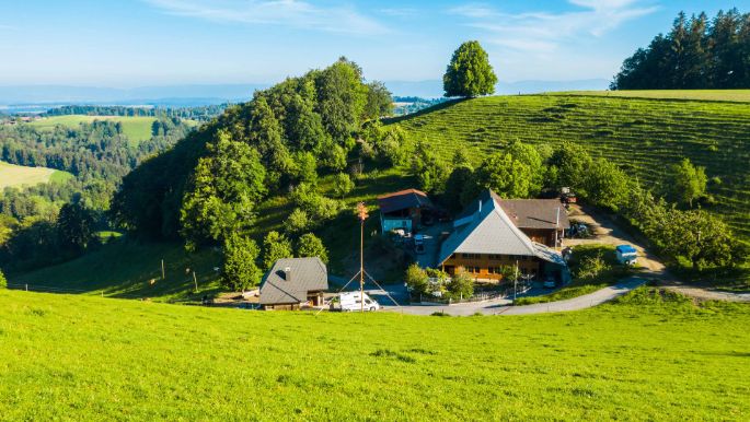 Breitenwaldweid_Linder_Oberburg_Hof