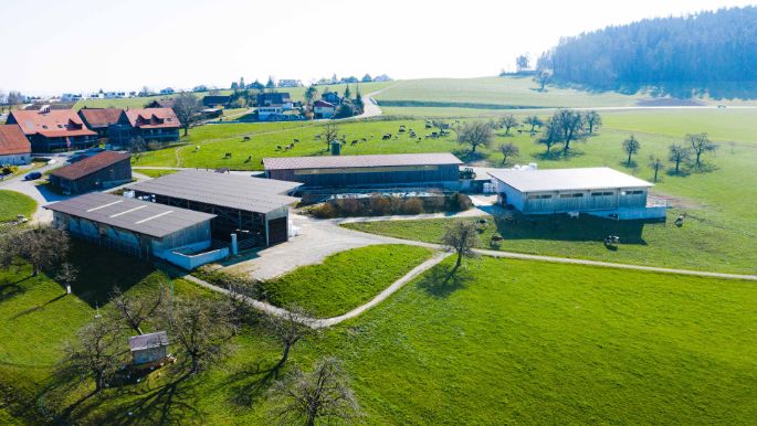 Haldenstall_Krebs_Forch_Drohne