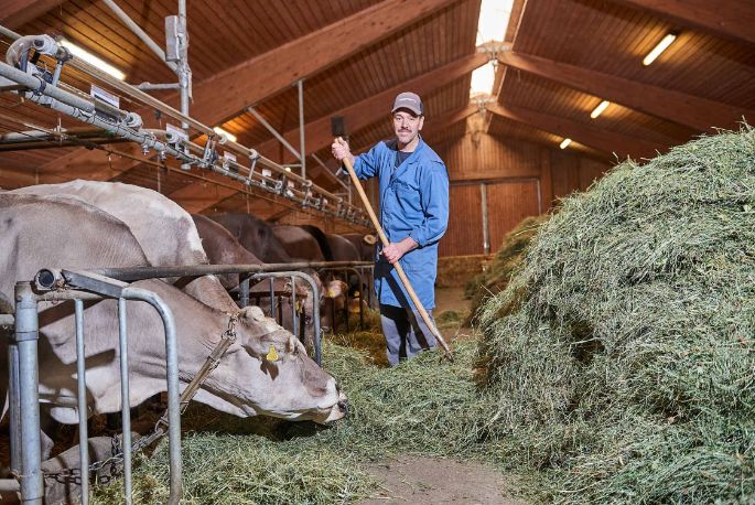 Hof Alter, Roland Kamm, Filzbach_Stall