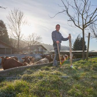 Surenmatte, Wendelin Wyss-Häfliger, Triengen_Weide