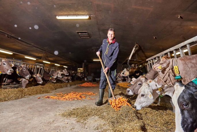 Chleehof, Beat Zimmermann-Knecht, Fisibach_Stall_3