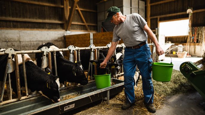 Hof-Rätzer_Rätzer_Othmarsingen_Arbeit