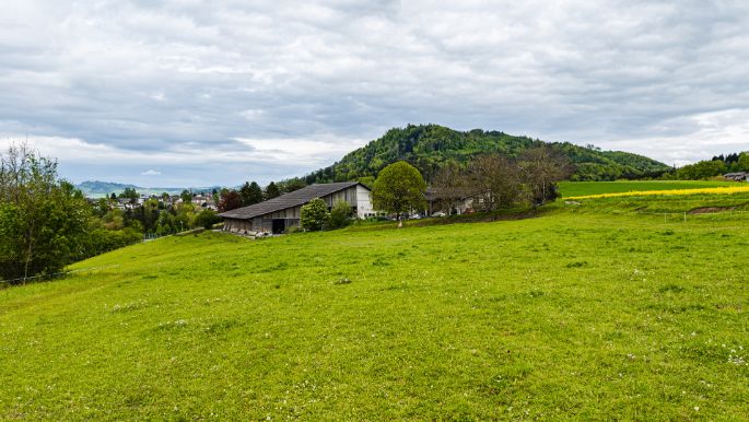 Bannholz_Schweizer_Koeniz_Hof