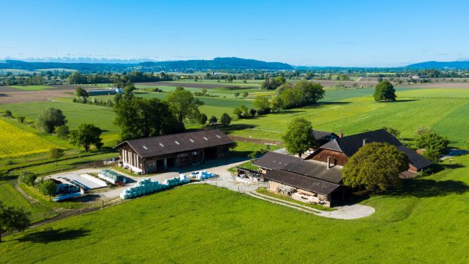 Bio_Eichholz_Scherrer_Lengnau_Drohne