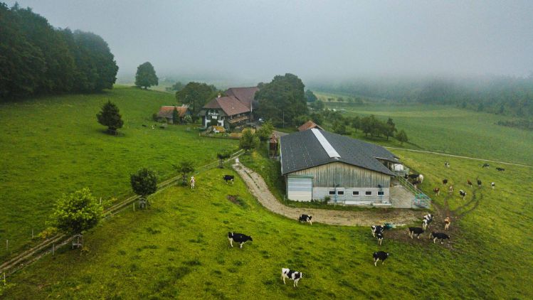 Amselberg_Wüthrich_Worb_Drohne