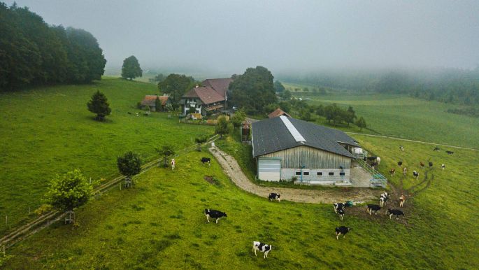Amselberg_Wüthrich_Worb_Drohne