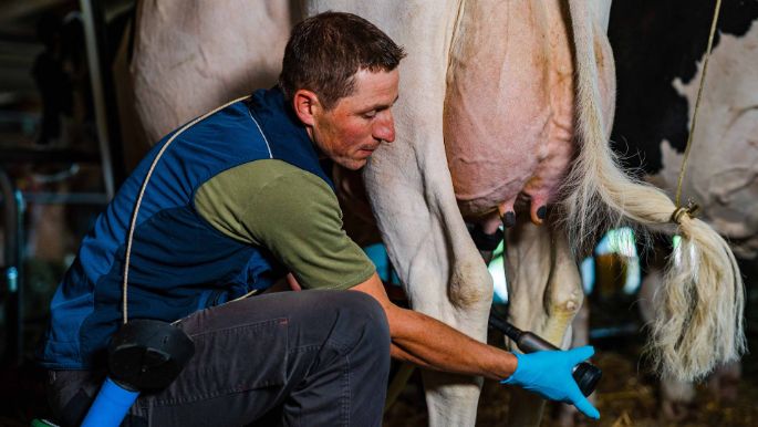 Gallee_Koch-Frey_Sempach_Arbeit