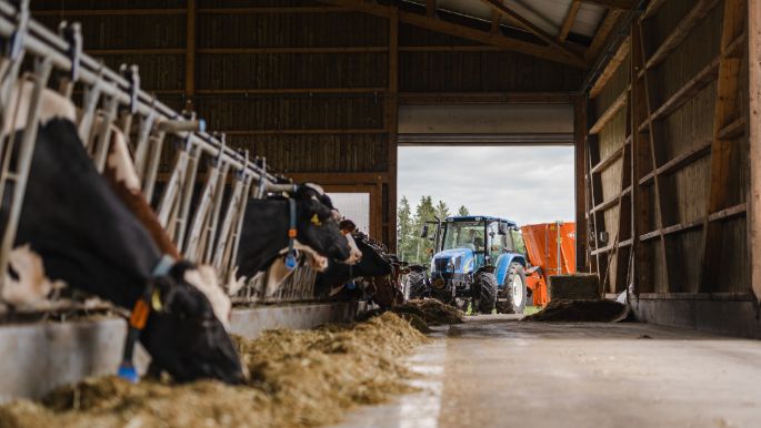 Geissb?hl_Oehen-Barmet_Lieli_Arbeit-2