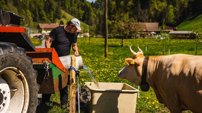 Bodenacher_Meyer_Wolhusen_Arbeit