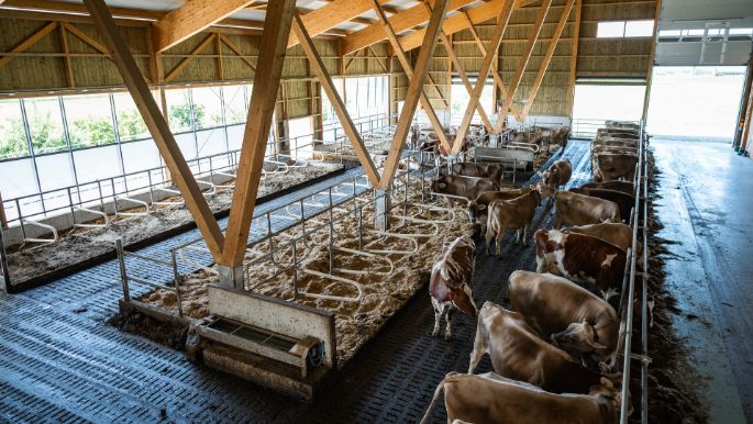 M?hlehof_Gauch_Bettwil_Hof-2