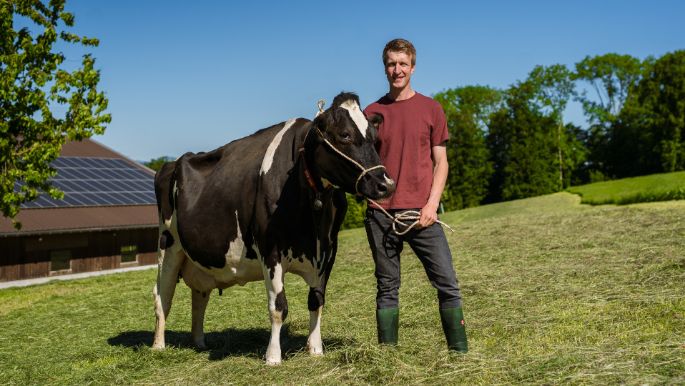 Grossberghof_Häfliger_Triengen_Kuh