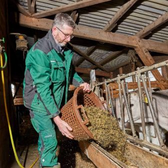 Waldhof, Markus Borner, Schneisingen_Stall