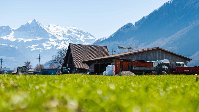 Linthmatt_Schmid_Bilten_Hof