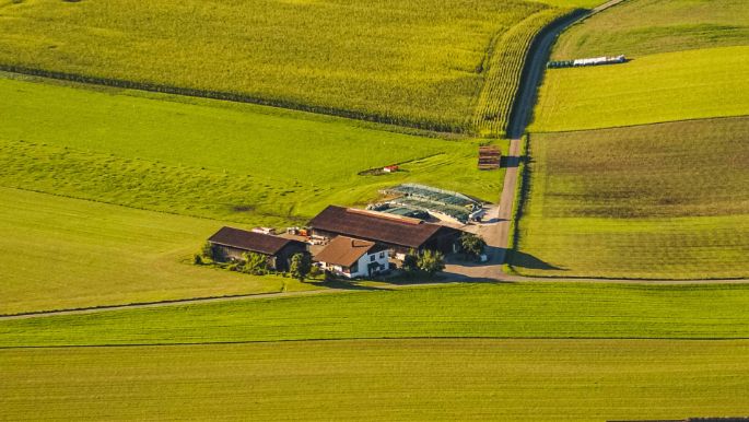 Hof Baltensperger_Baltensperger_Brütten_Drohne