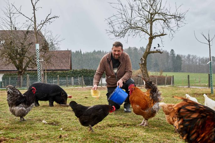 Springs Bio Farm, Andreas Spring, Limpach_Weide_3