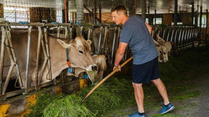 Chrinnehof_Kindlimann_Wald_Arbeit