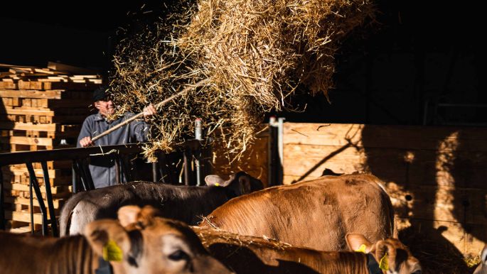 Hof Sidler_Sidler_Hagendorn_Arbeit1